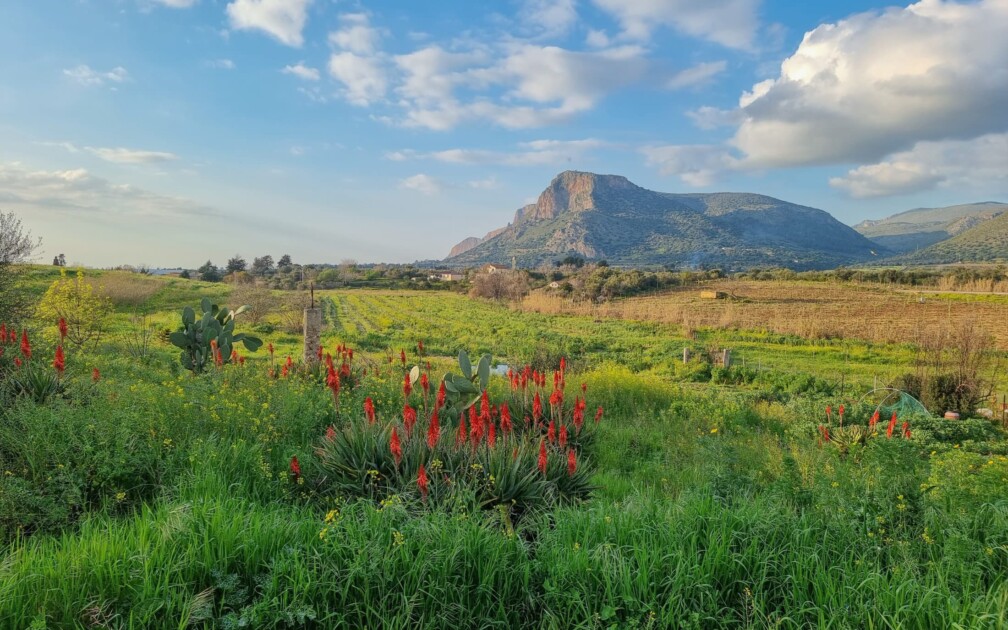 Food Forest auf Sizilien
