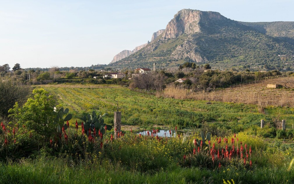 220315_Food_Forest_klein