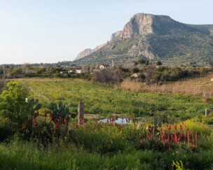 Foto von Eindrücke aus dem Food Forest