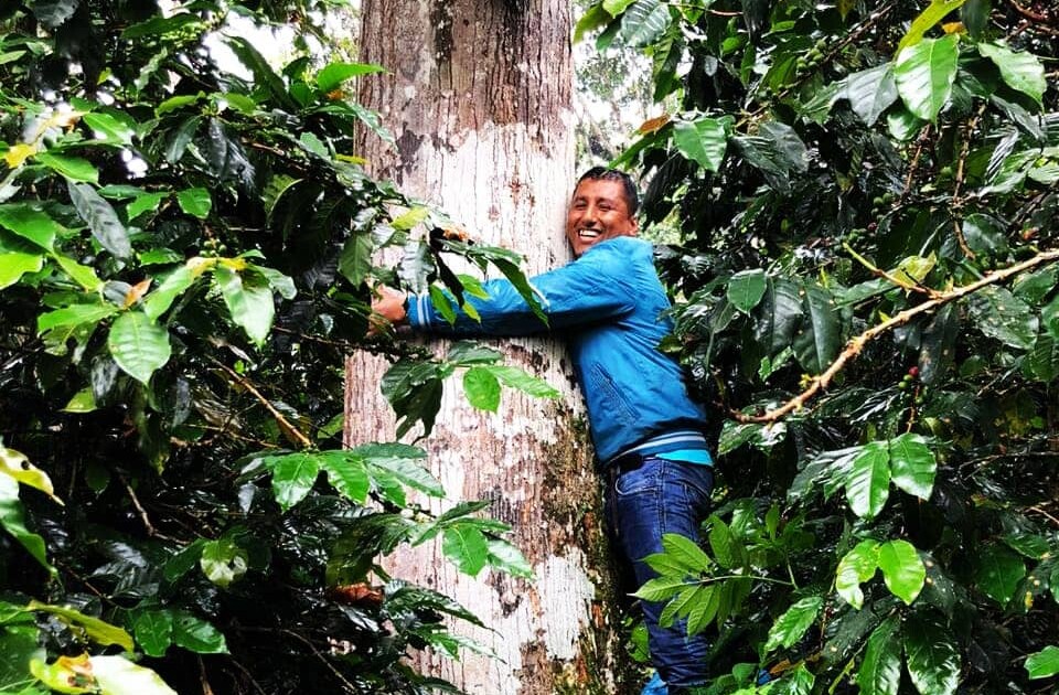 Erick von der Kaffee-Kooperative CAFHU im peruanischen Regenwald.