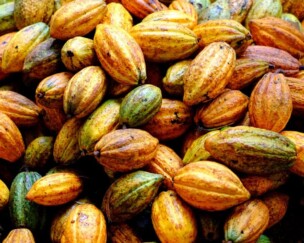 Ein unerwartetes Paket Foto von Ein unerwartetes Paket