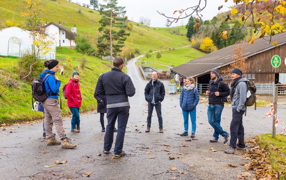 Cäsar-Bürgi-Silberdistel-Demeter1