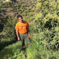 Carlos Márquez Foto von Carlos Márquez