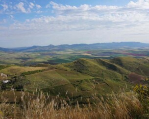 Zu Besuch bei den Wächtern des Timilia-Korns Foto von Zu Besuch bei den Wächtern des Timilia-Korns