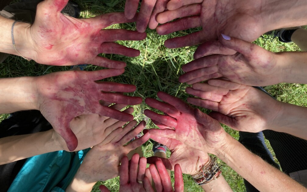 Community_Kirschen_ernten_2022