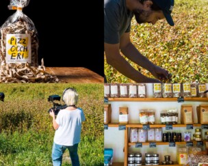 Buchweizen als Schlüssel der Biodiversität Foto von Buchweizen als Schlüssel der Biodiversität