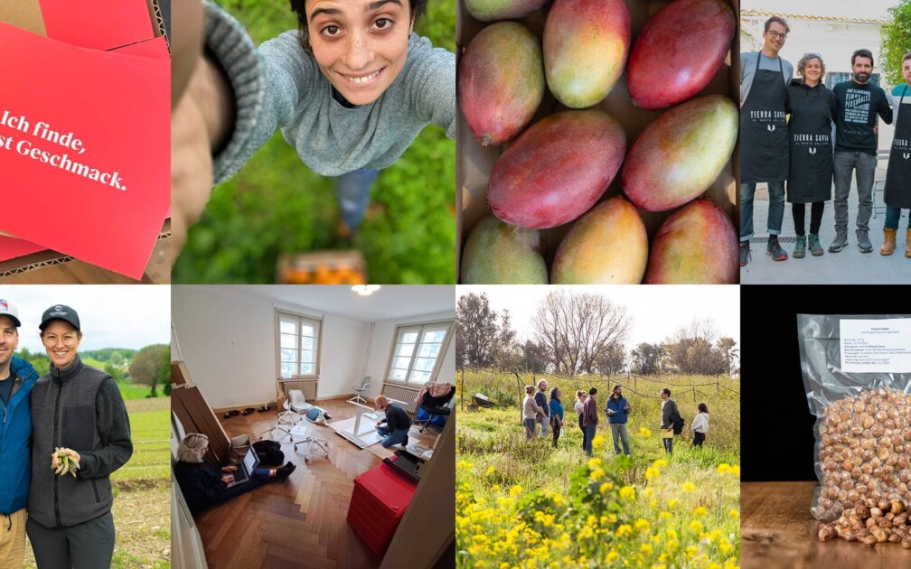 Crowd-Container_Impact-2023_Beitragsbild