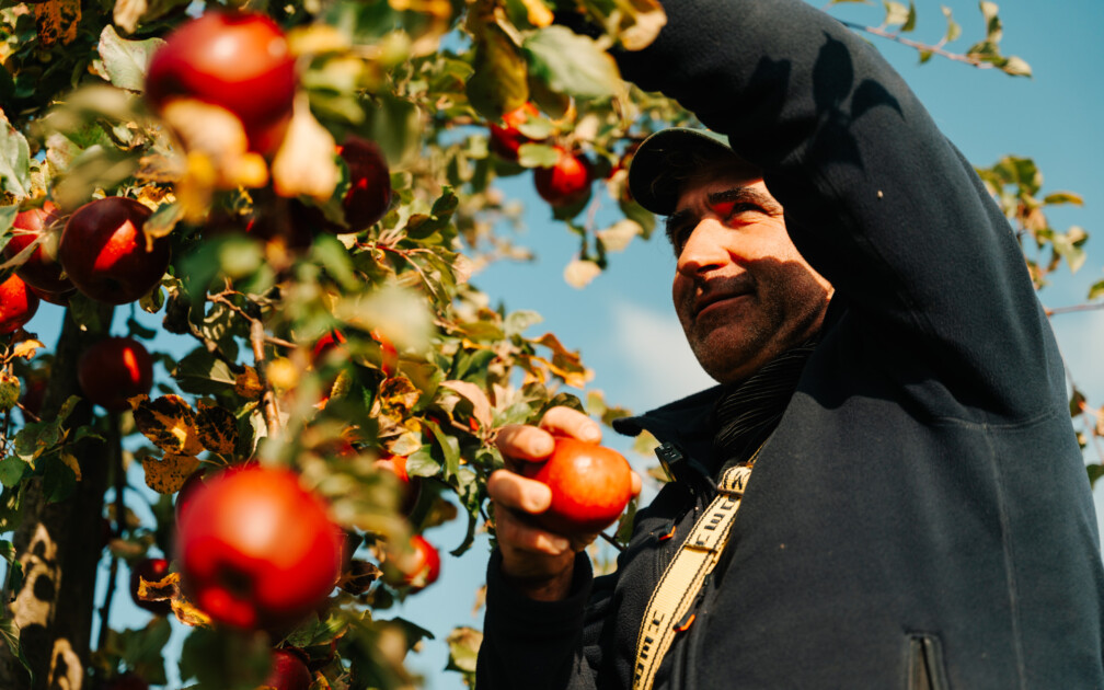 Crowdcontainer_Mausacker_Most_Cidre-0033