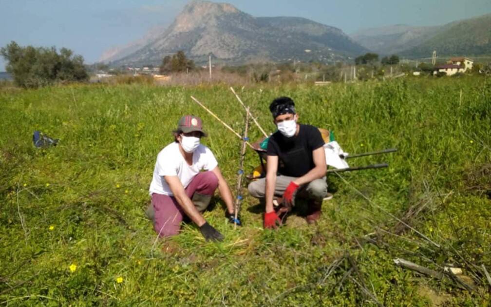 Food-Forest-Baumpflanzung