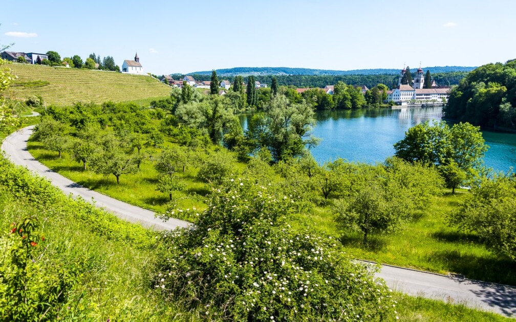 Das Gut Rheinau liegt inmitten der markanten und idyllischen Rheinschlaufe und wird biologisch-dynamisch geführt