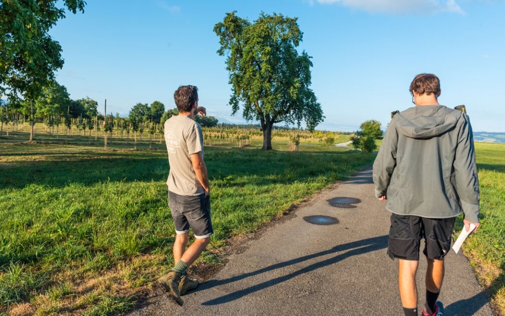 Haselnuss-Projekt-Stefan-Gerber-Crowd-Container