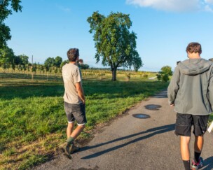 Foto von Wildbienen lieben Haselnüsse