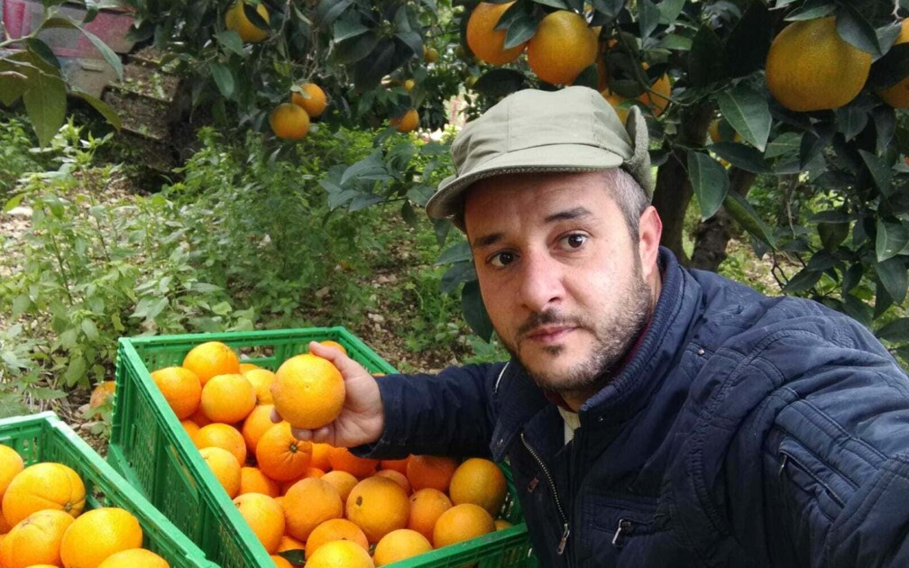 Gimmy Sala Bio Orangen Crowdfarming