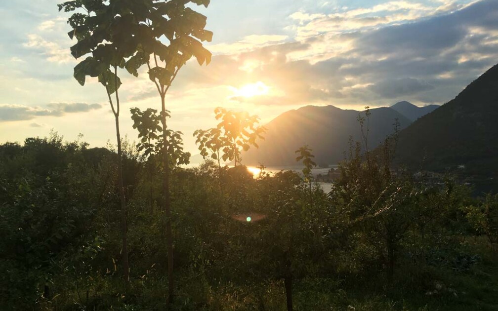 Matteo Mazzi Regenerative Landwirtschaft Food Forest Lago Iseo
