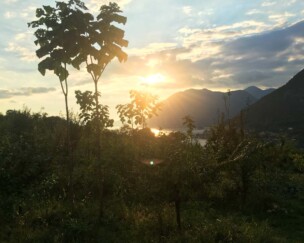 Foto von Food Forest 2.0?