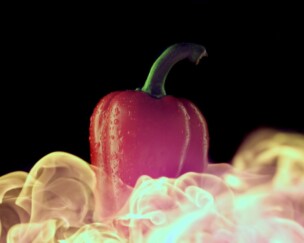 Foto von was wotsch wüsse?