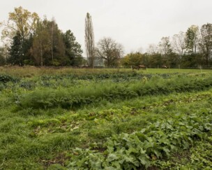 Foto von Besuch bei der Klima-Zwiebel