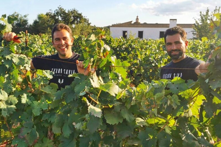 bio-wein-tierra-y-savia-Andalusien-2