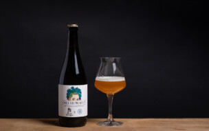 Sauerbier "Brett Saison" mit Artemisia