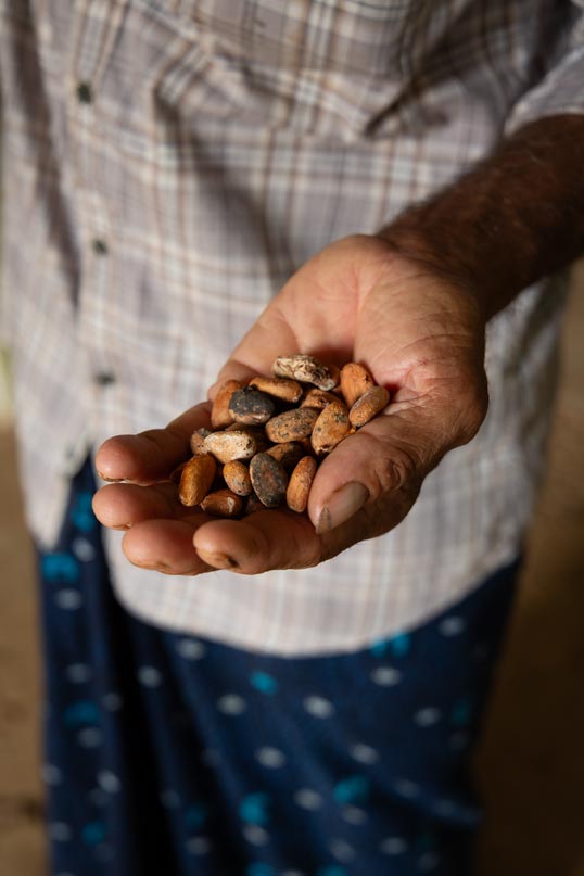 Garçoa, FTAK, rebio