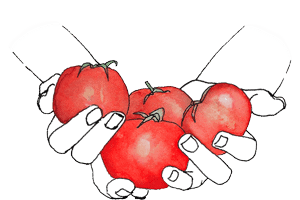 Hand_Tomaten