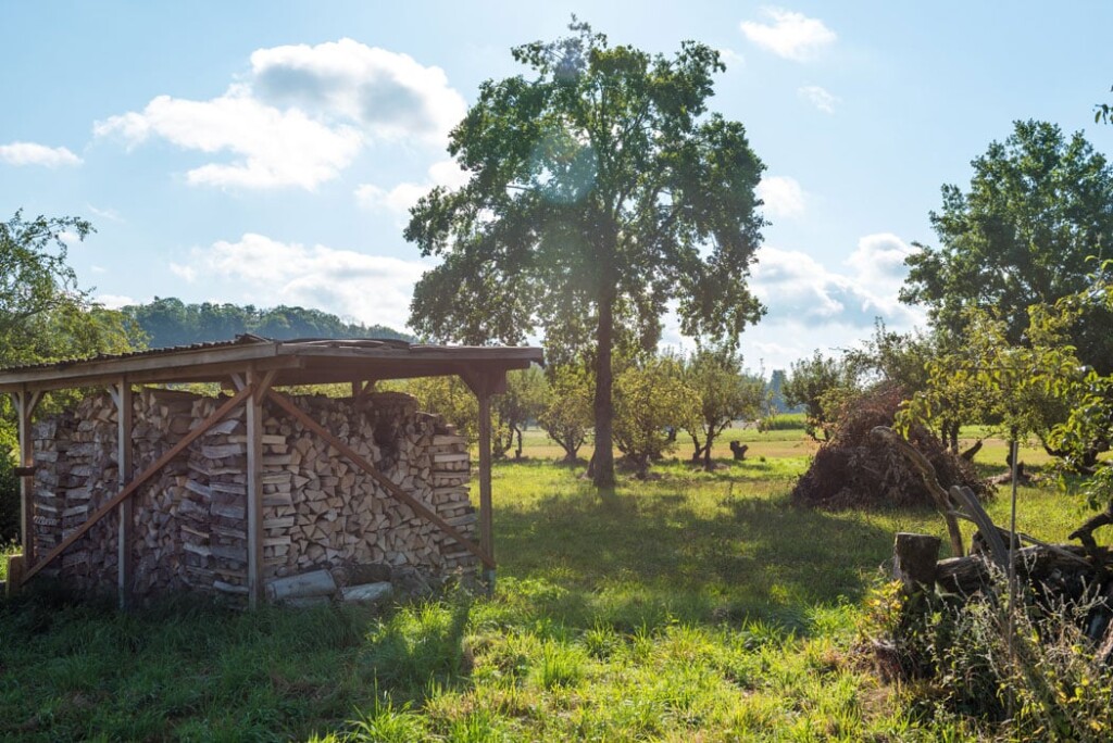 Haselnuss-Projekt-Stefan-Gerber-Crowd-Container3