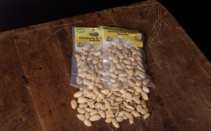 "Tuono" Salzmandeln geröstet